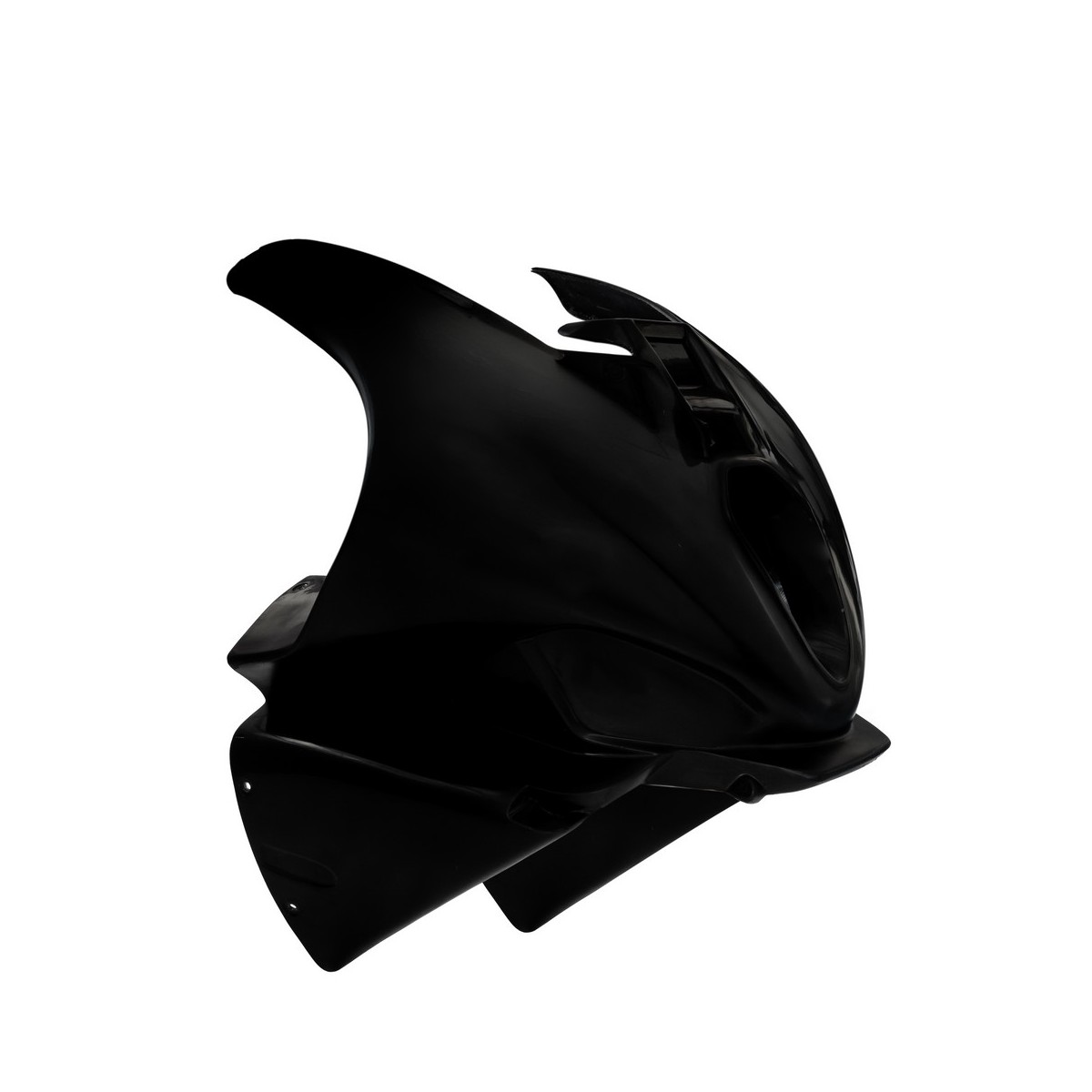 FRONTAL CARENADO OFICIAL BMW M 1000RR 2025